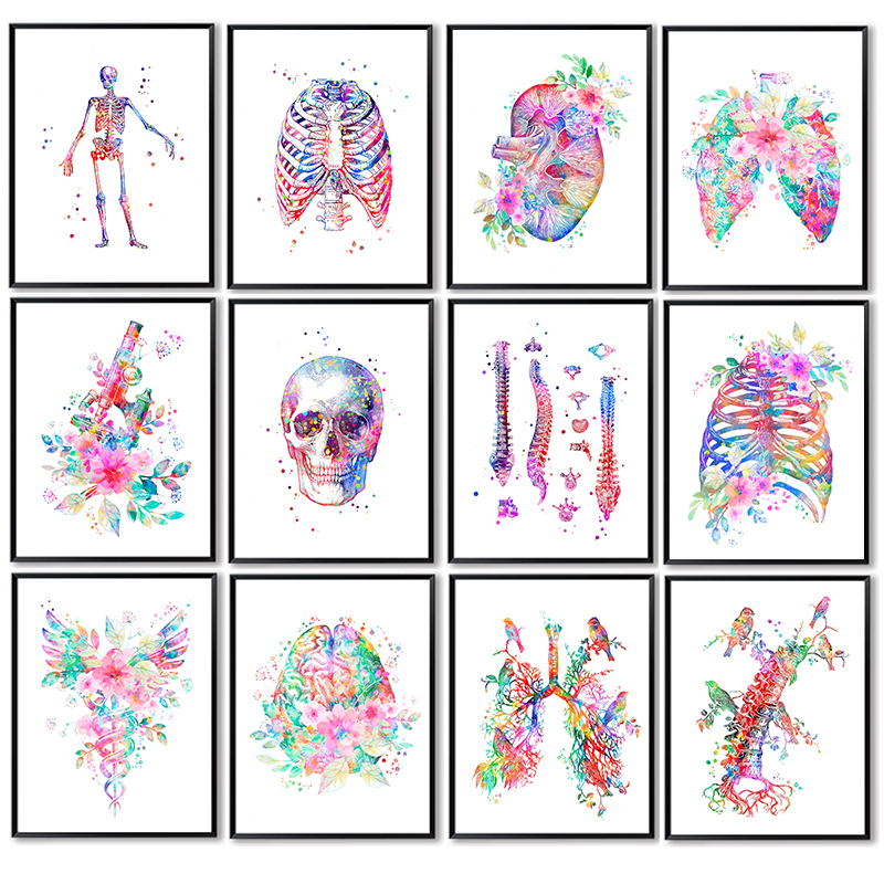 Anatomy Medical Poster Flower  - огляд і ціна Medical Laboratories